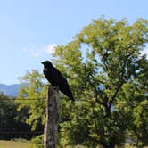 Review photo of Cades Cove Group Campground — Great Smoky Mountains National Park by kenneth M., May 17, 2018