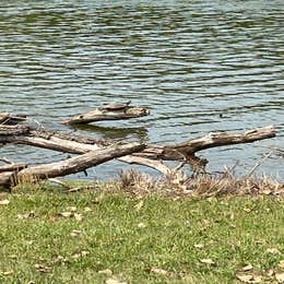 Marion County Lake Campground