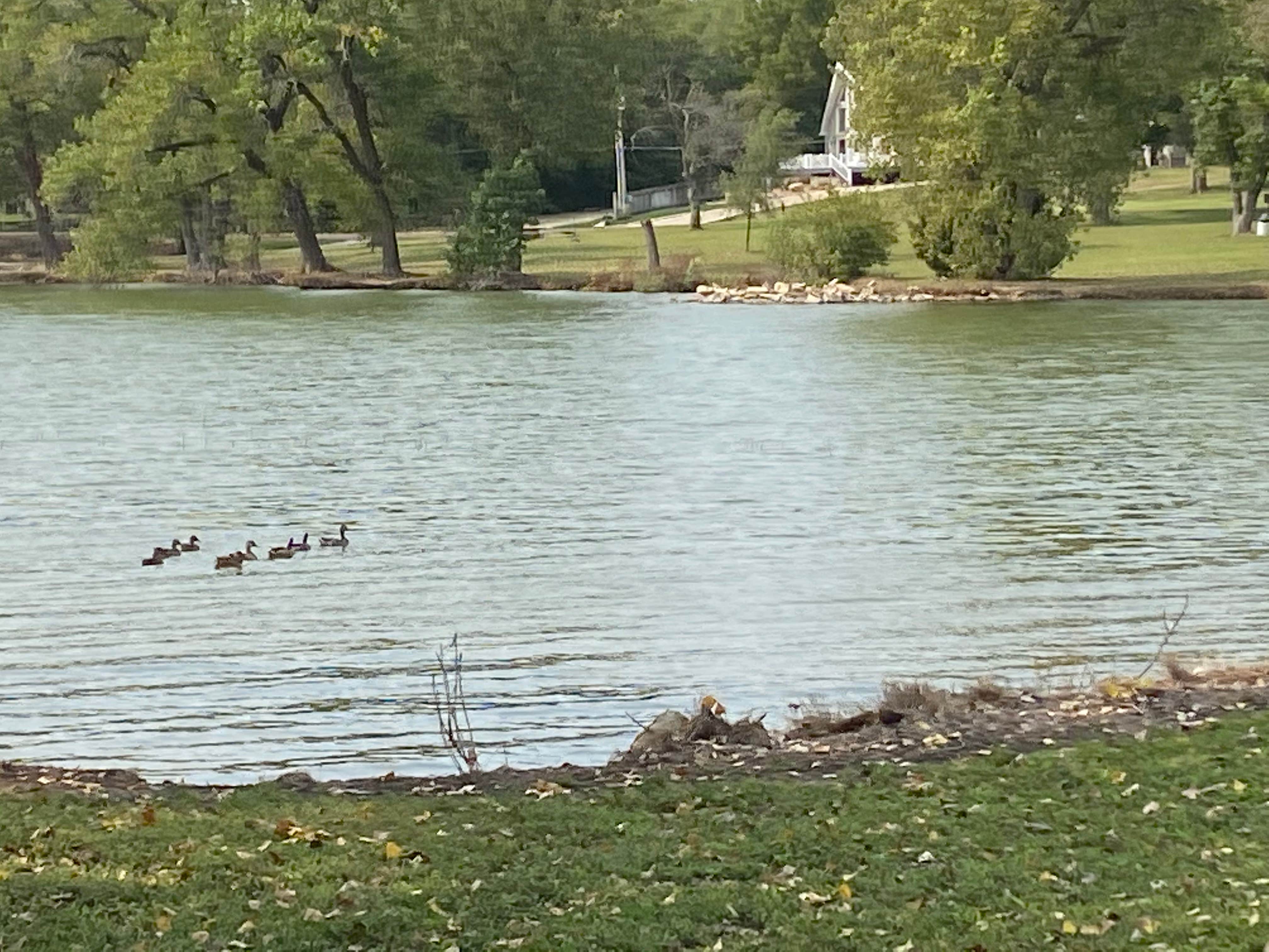 Camper-submitted photo at Marion County Lake Campground near Marion Reservoir