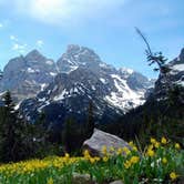 Review photo of Jenny Lake Campground — Grand Teton National Park by Thomas H., July 6, 2016