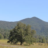 Review photo of Cades Cove Group Campground — Great Smoky Mountains National Park by kenneth M., May 17, 2018