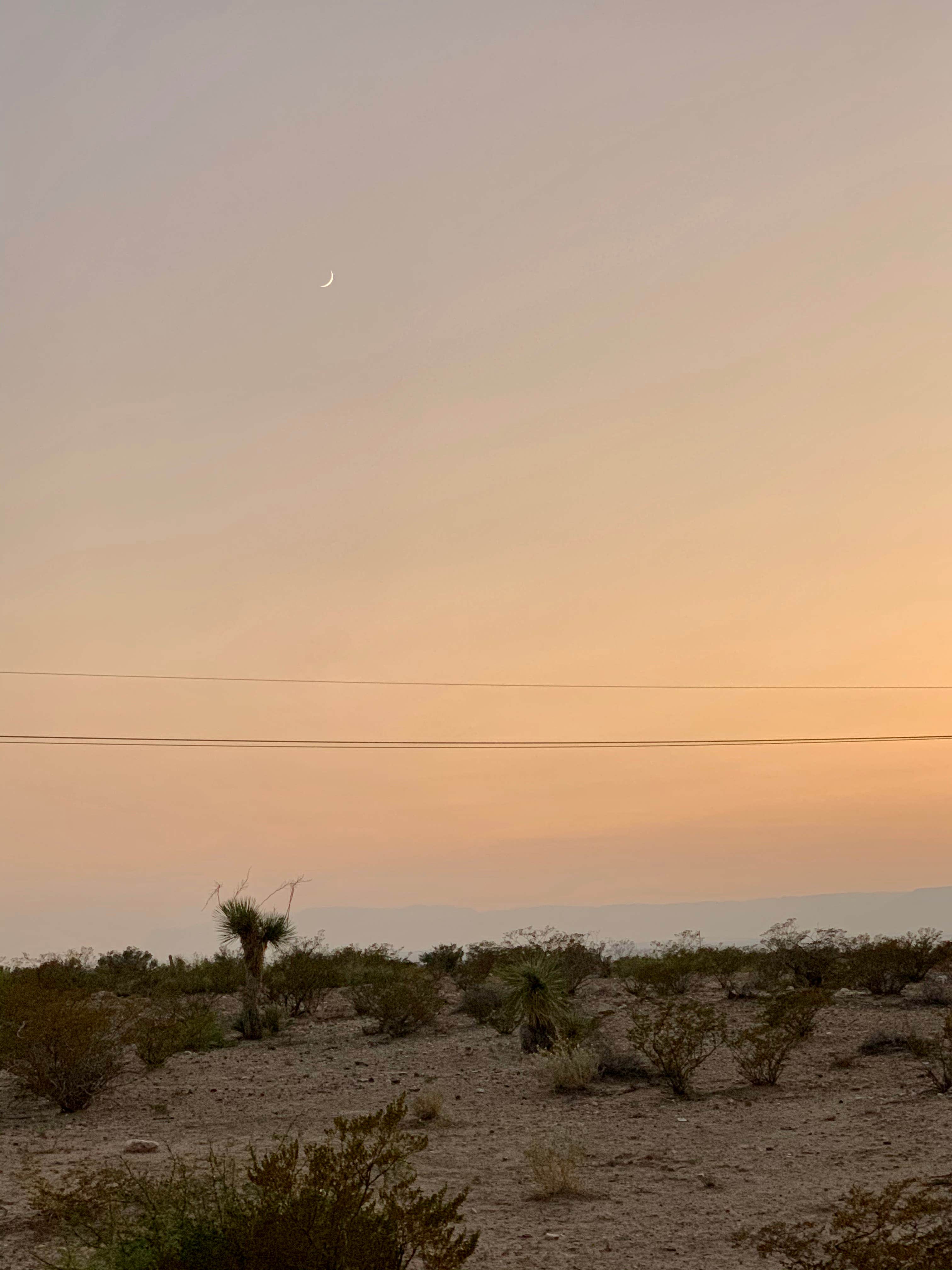 Monica R.'s photo of a dispersed camping area at Chosa Campground in New Mexico