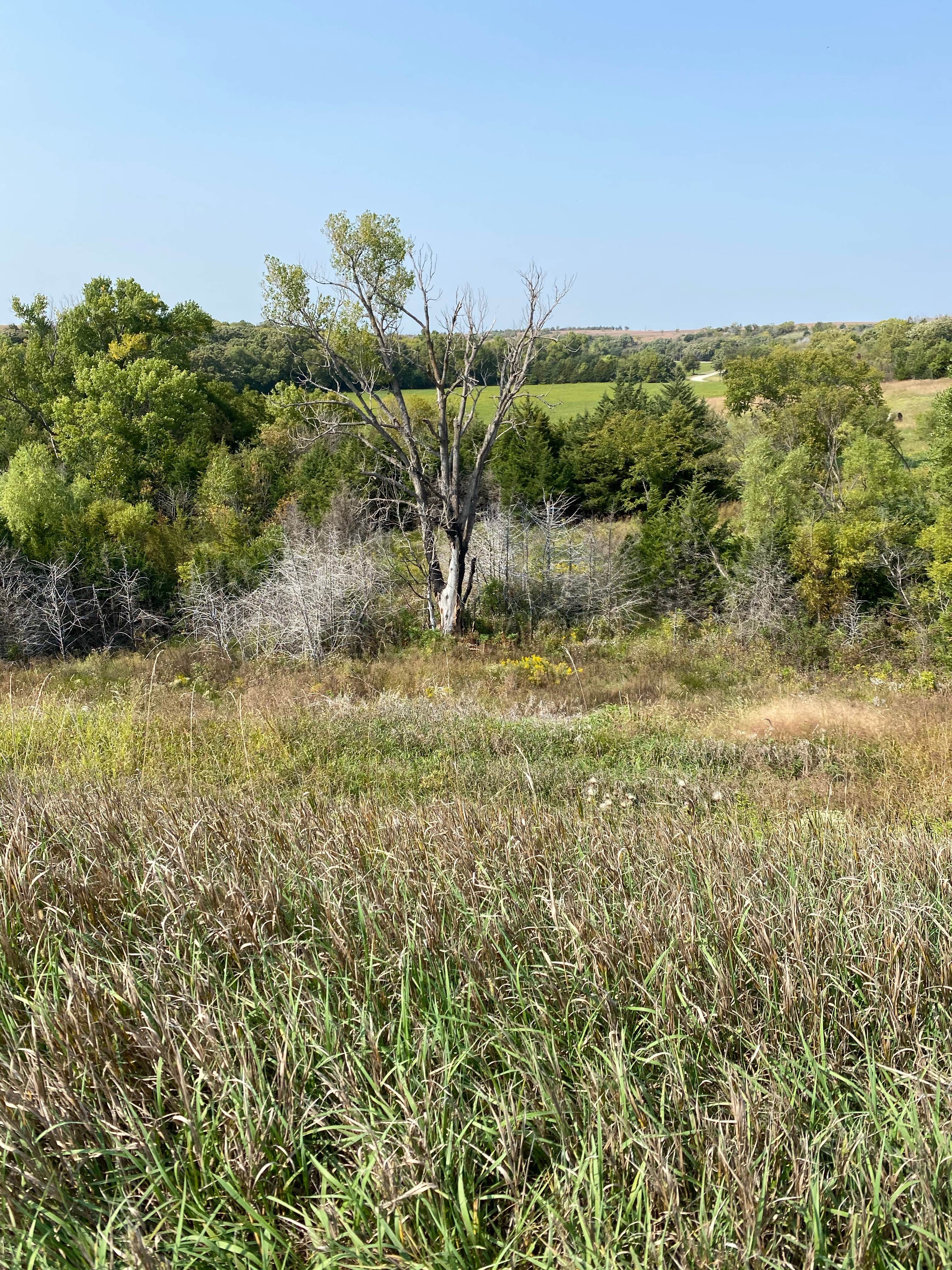 Camper submitted image from Geary State Fishing Lake and Wildlife Area - 2