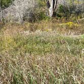 Review photo of Geary State Fishing Lake and Wildlife Area by Shannon G., September 22, 2020