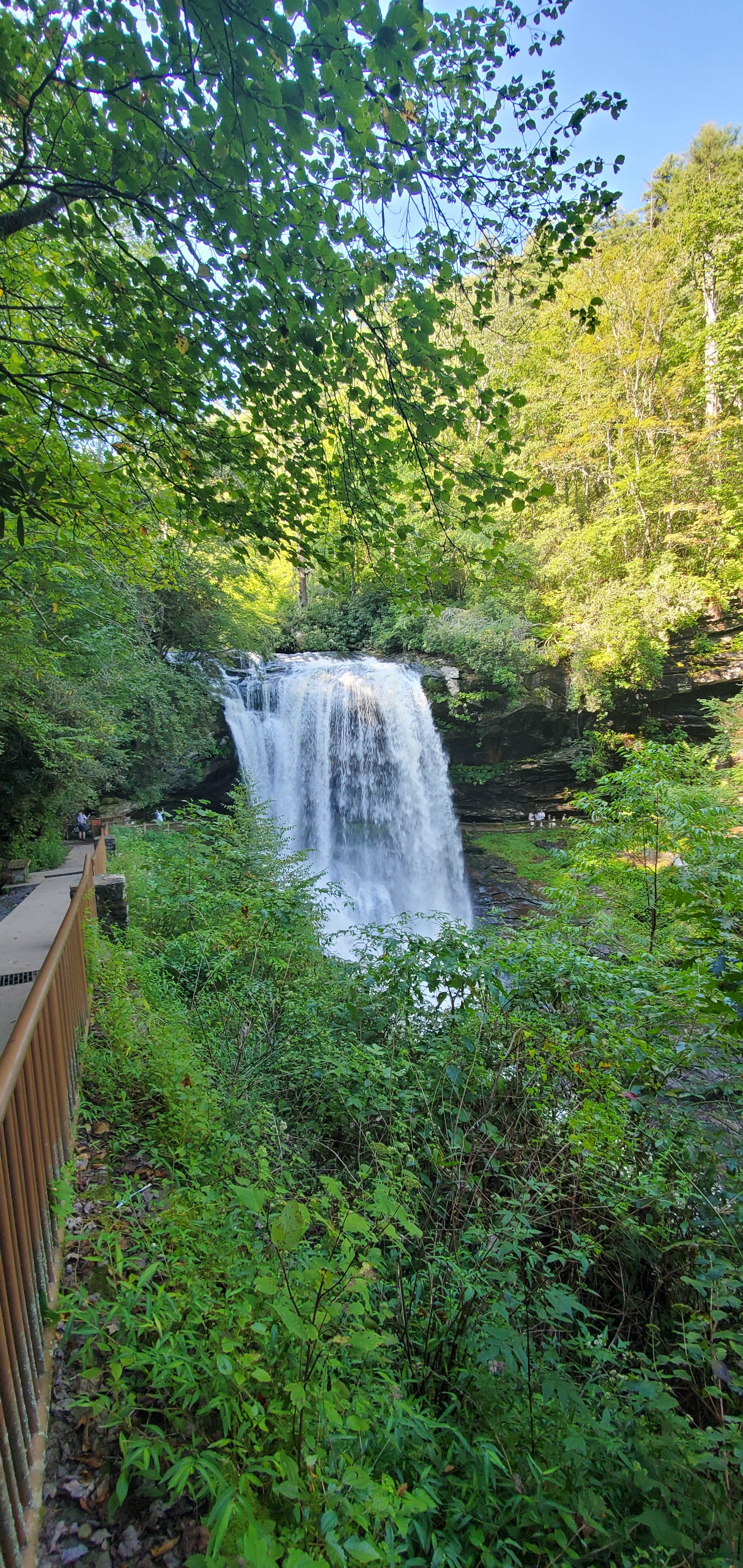 Camper-submitted photo at Sky High Ridge RV Campground near Dillard, GA