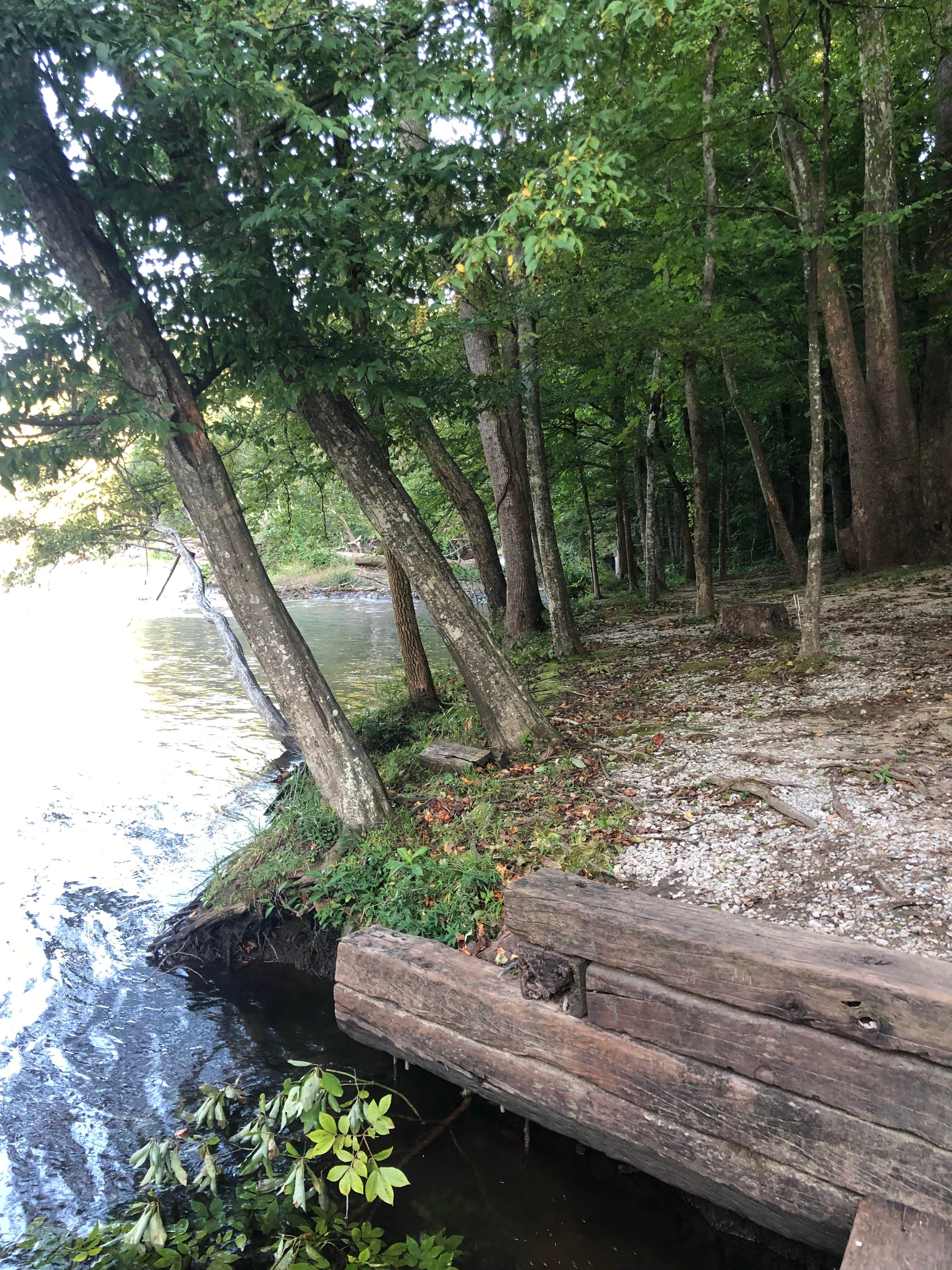 Camping near Davenport Shelter — Great Smoky Mountains National Park: Fox Fire Riverside Campground, Hartford, Tennessee