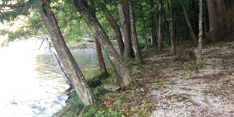 Camper submitted image from Fox Fire Riverside Campground