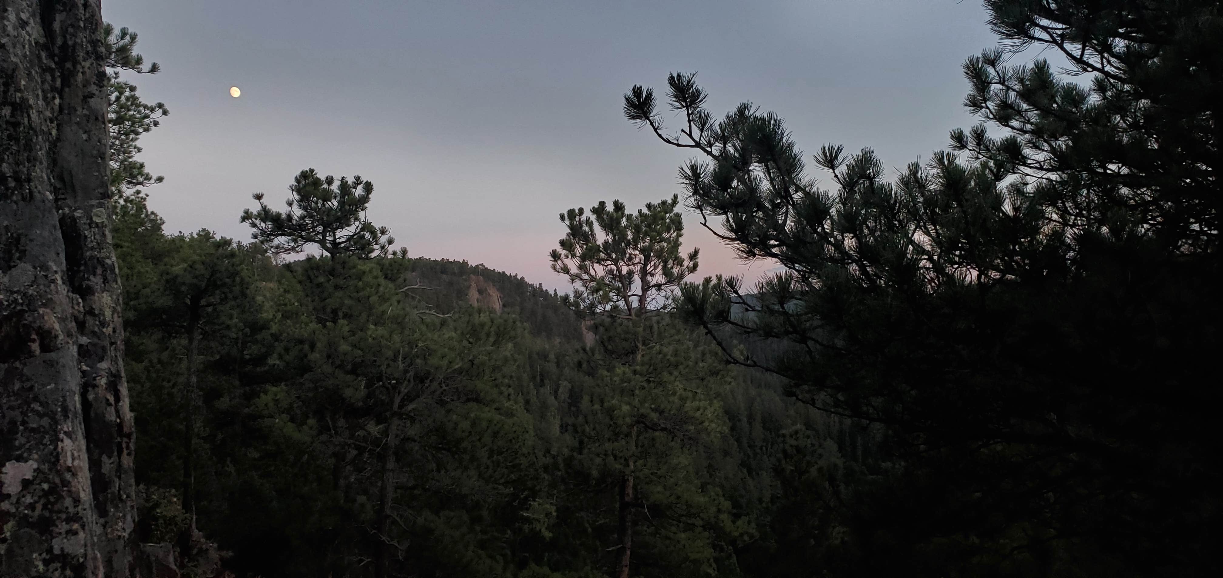 Camper-submitted photo at West Nemo - Dispersed Camping near Deadwood, SD