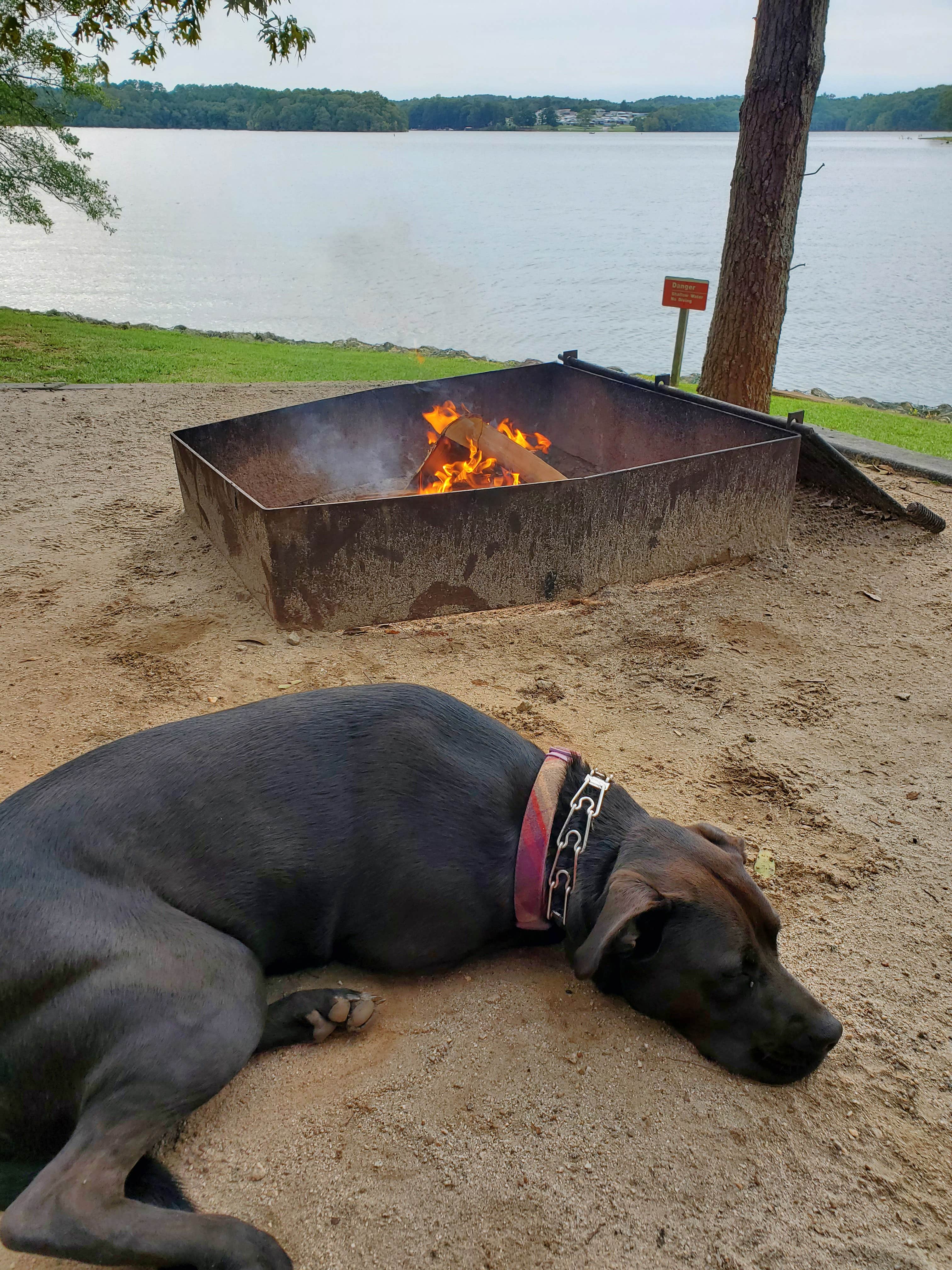 Anna's photo of camping with pets at Twin Lakes at Lake Hartwell near Lavonia, GA