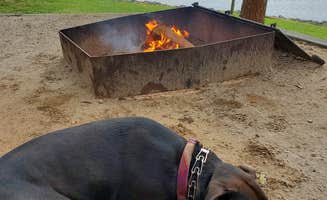 Anna's photo of camping with pets at Twin Lakes at Lake Hartwell near Hartwell Lake