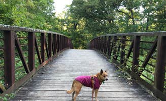 Art S.'s photo of camping with pets at Prairie View — Chain O' Lakes State Park near Lake Geneva, WI