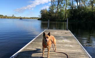 Art S.'s photo of camping with pets at Prairie View — Chain O' Lakes State Park near Waukegan, IL
