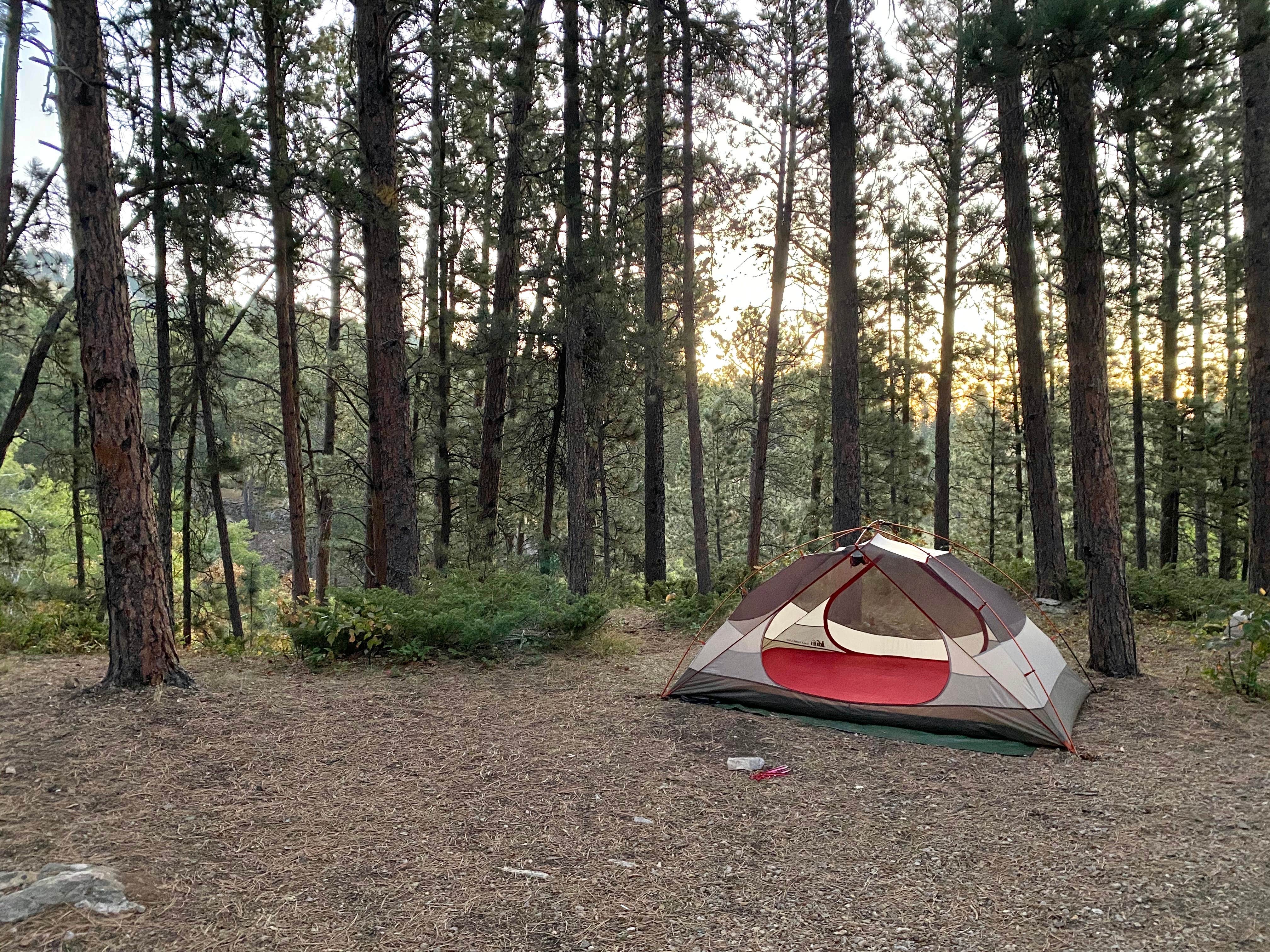 Nickolas A.'s photo at Reuter Campground near Devils Tower National Monument