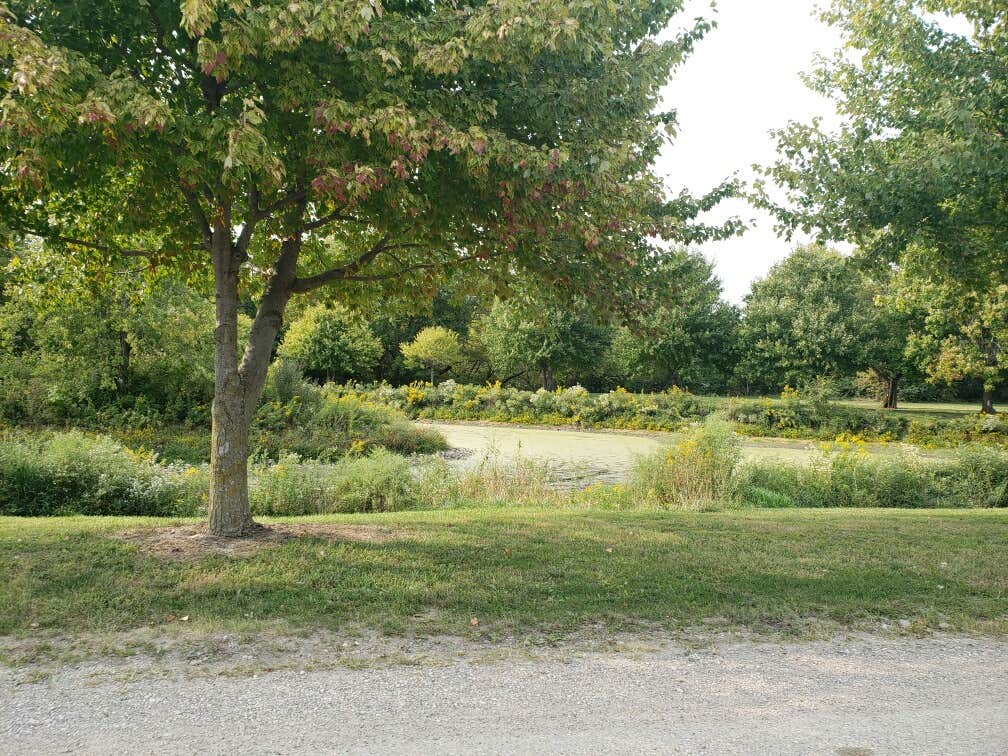 Camper-submitted photo at Glenwood Lake Park near Pacific Junction, IA