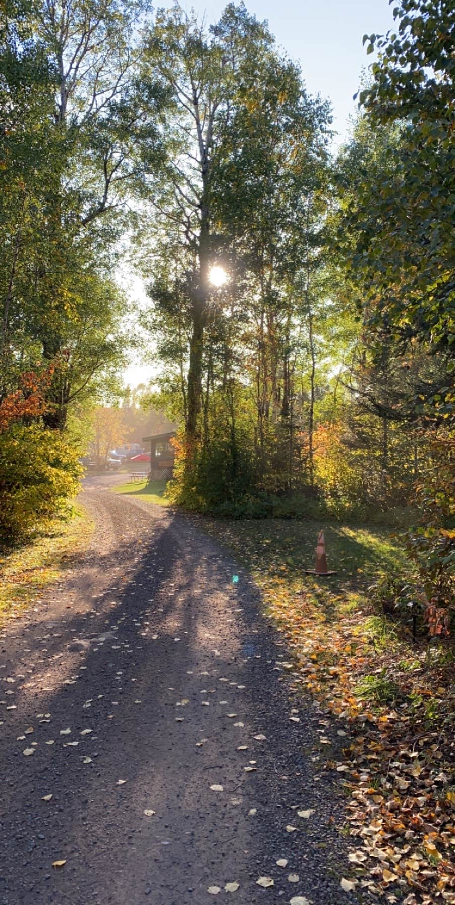 Camper-submitted photo at Wildhurst Lodge and Campground near Ely, MN