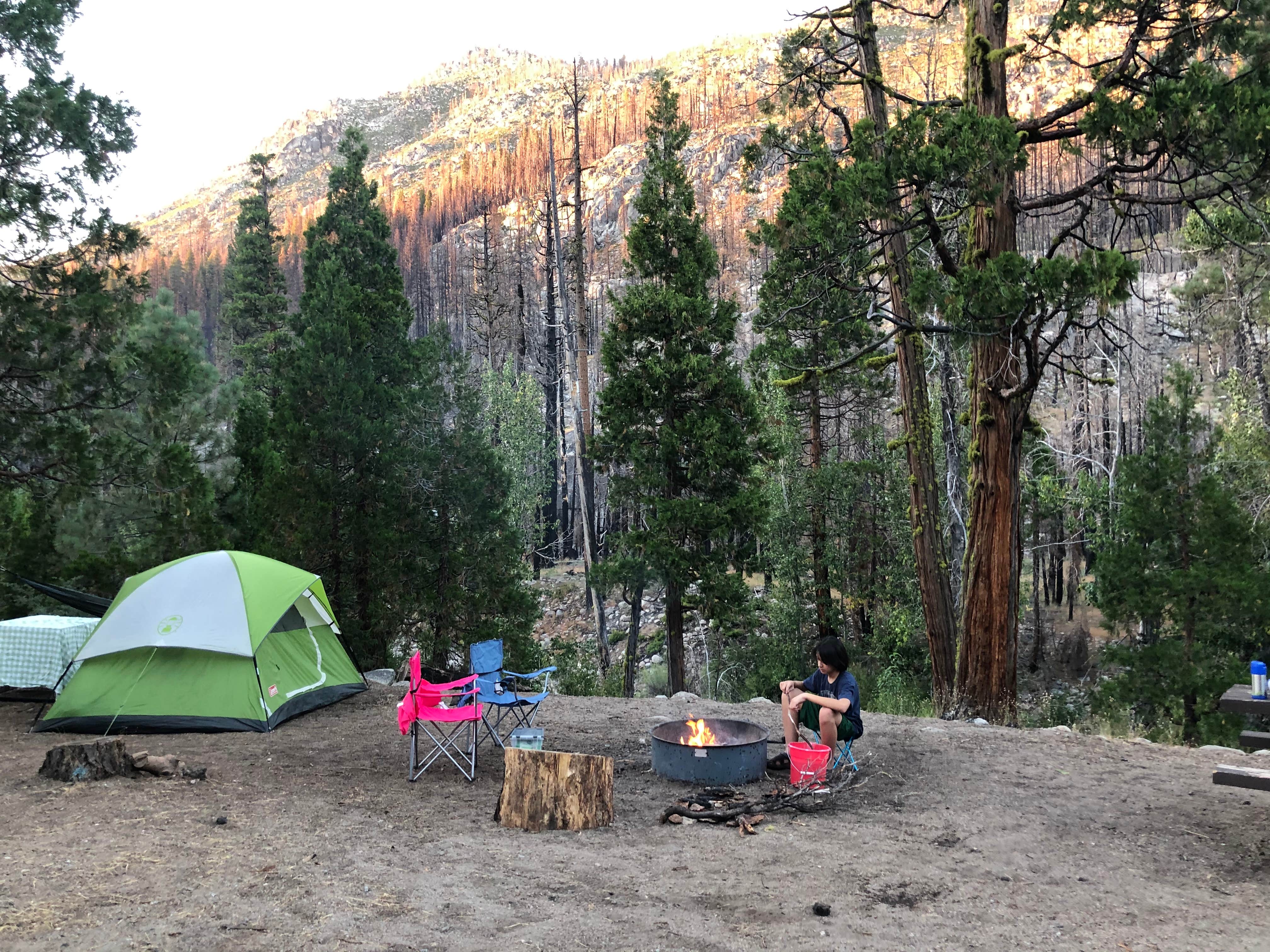 Camping near Fence Creek Campground: Dardanelle Campground, Bear Valley, California