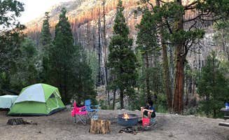 Steve E.'s photo at Dardanelle Campground near Stanislaus National Forest