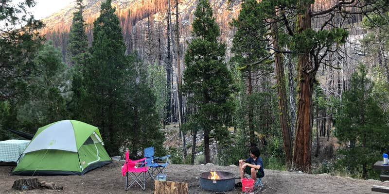 Camper submitted image from Dardanelle Campground