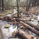 Review photo of Cloudland Canyon State Park Campground by Karen L., May 17, 2018