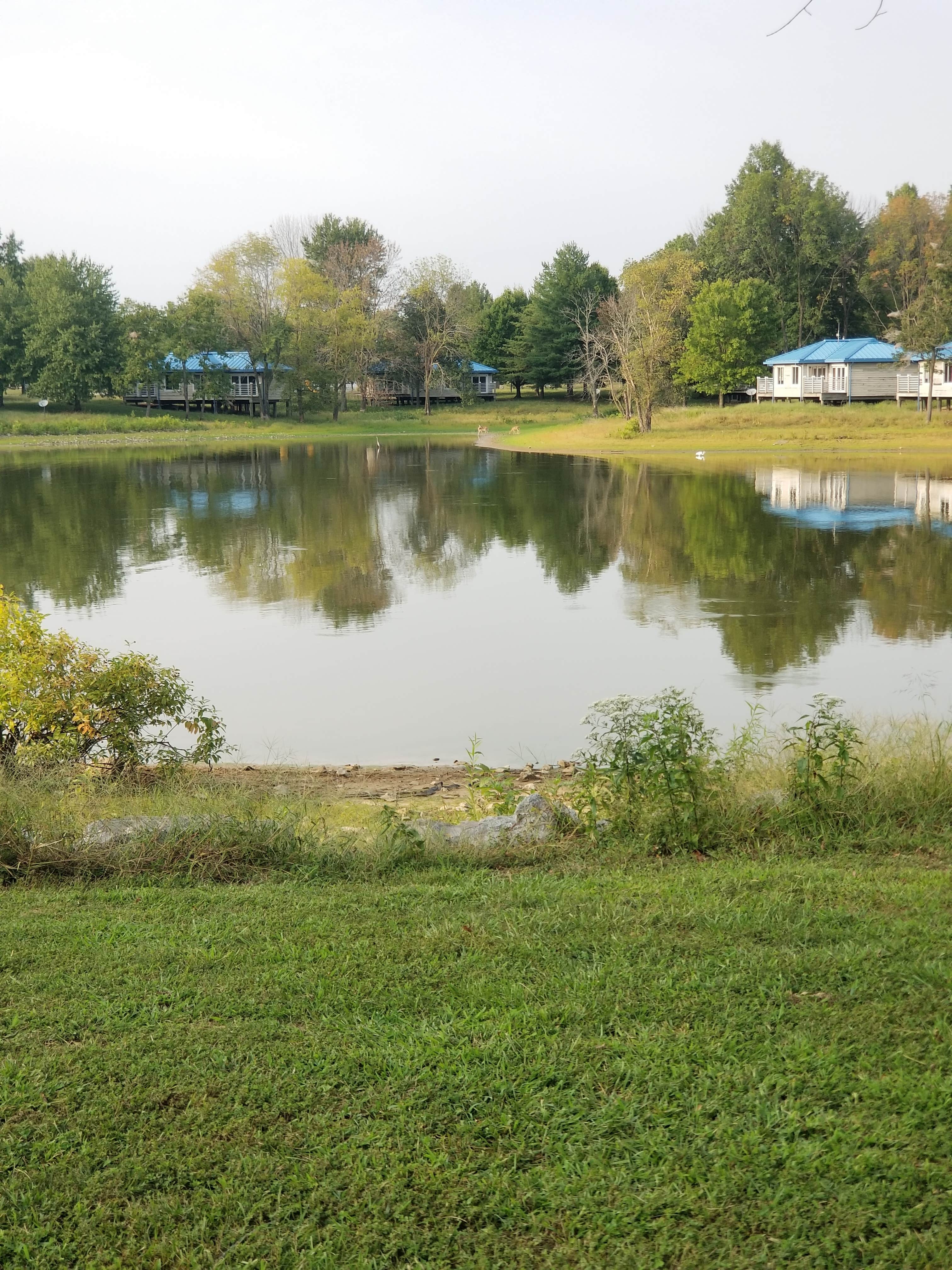 Camper-submitted photo at Wayne Fitzgerrell State Park Campground near Whittington, IL