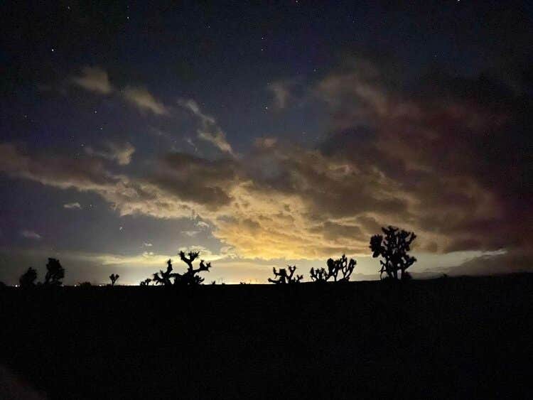 Camper submitted image from Joshua Tree Ranch Los Angeles - 3