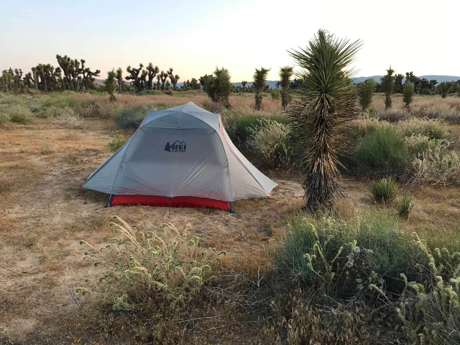 Camper-submitted photo at Joshua Tree Ranch Los Angeles near Lancaster, CA