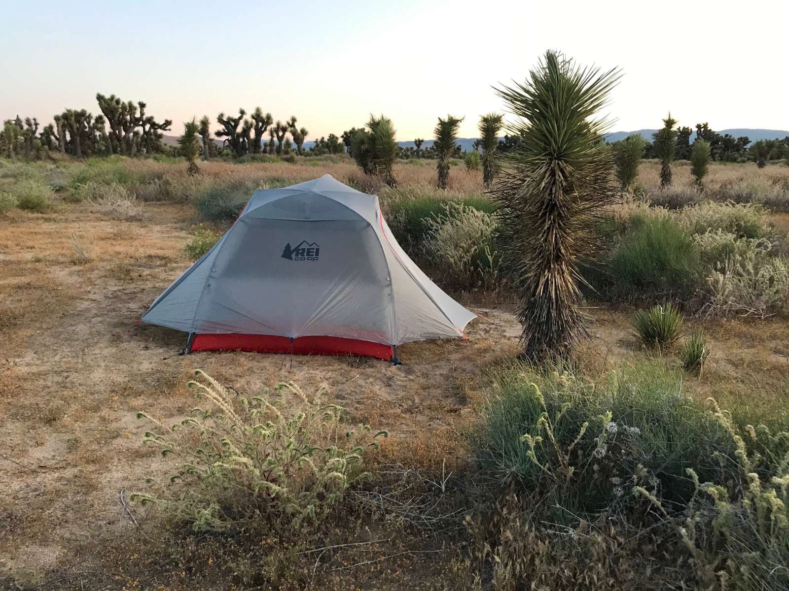 Camper submitted image from Joshua Tree Ranch Los Angeles - 5