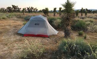 Levi P.'s photo of tent camping at Joshua Tree Ranch Los Angeles near Agua Dulce, CA