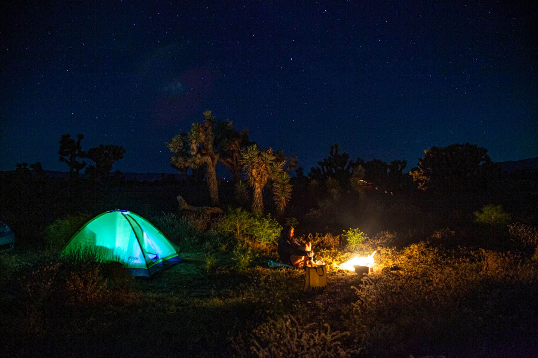 Levi P.'s photo at Joshua Tree Ranch Los Angeles near Bear Valley Springs, CA