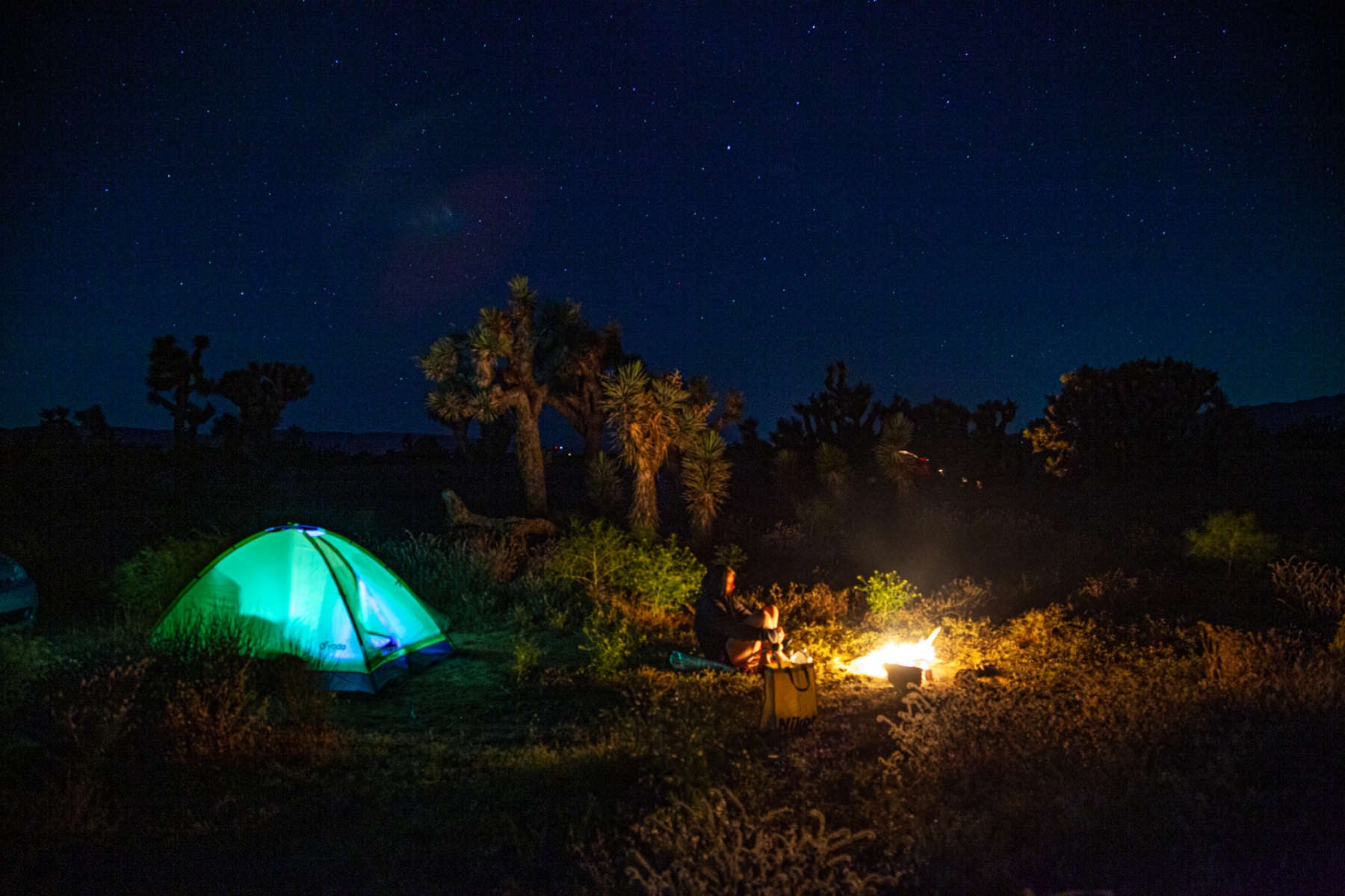 Camper submitted image from Joshua Tree Ranch Los Angeles - 3