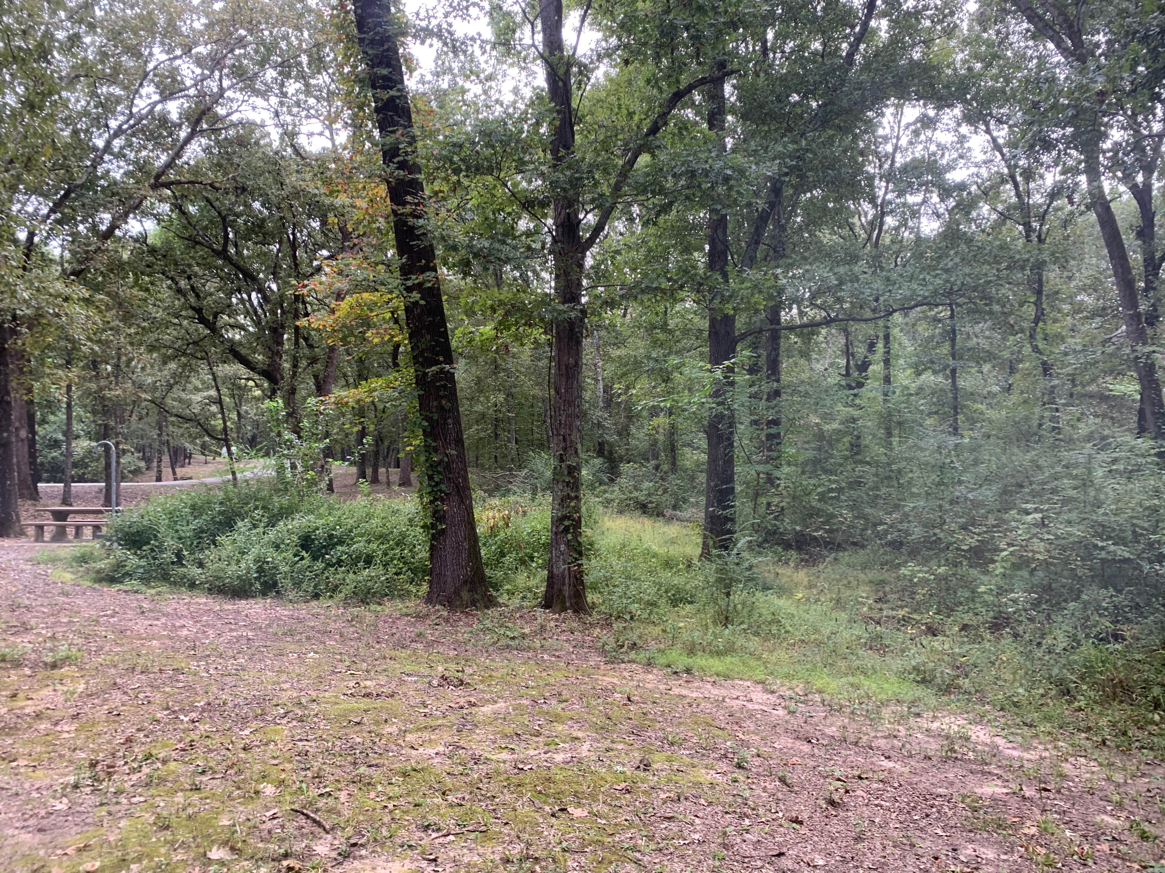 Camper-submitted photo at COE John Paul Hammerschmidt Lake Springhill Campground near Van Buren, AR