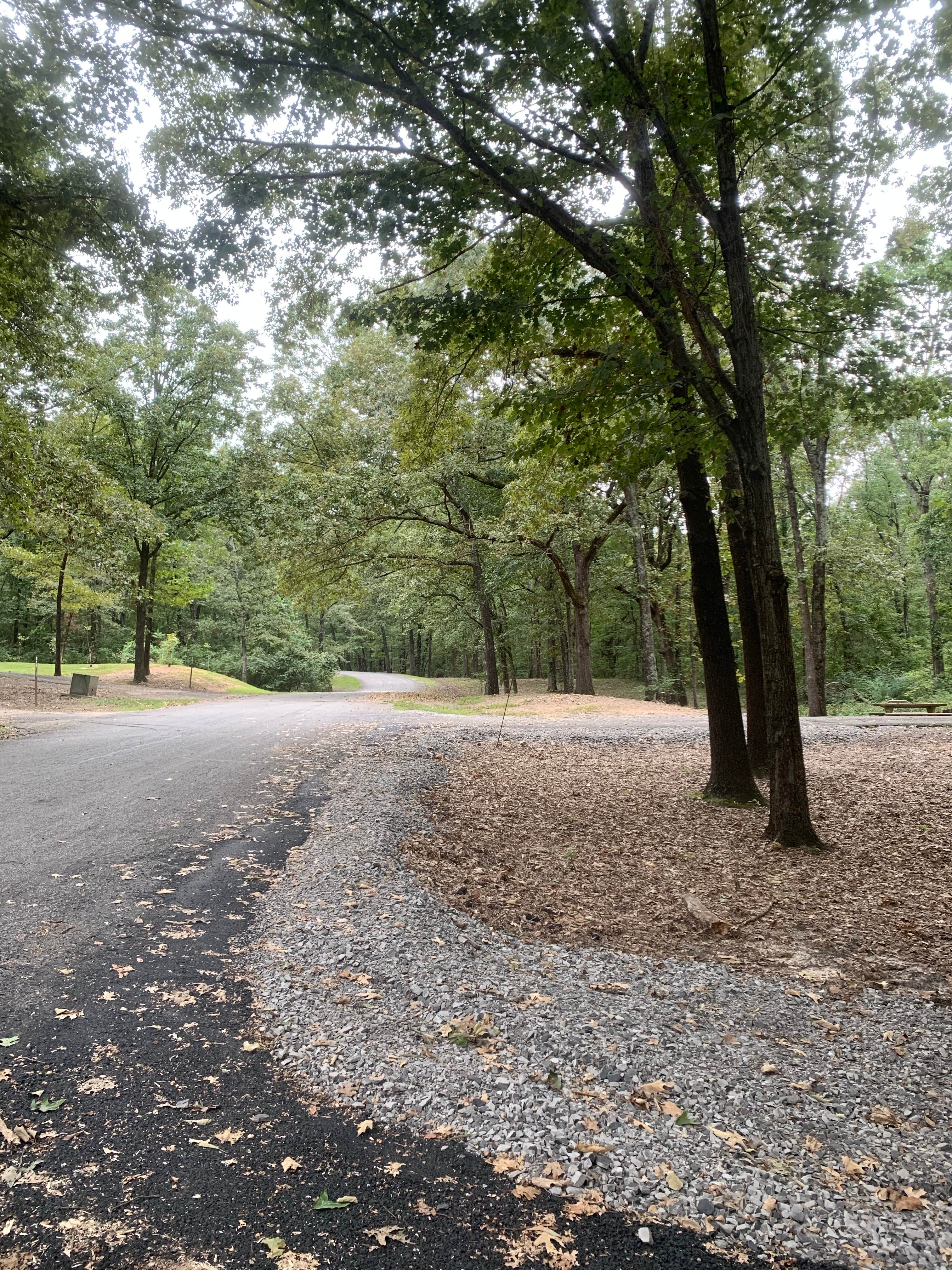 Camper-submitted photo at COE John Paul Hammerschmidt Lake Springhill Campground near Van Buren, AR