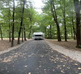 Camper-submitted photo from COE John Paul Hammerschmidt Lake Springhill Campground