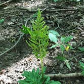 Review photo of A.W. Marion State Park Campground by Shannon G., September 22, 2020