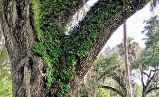 Rob D.'s photo of camping with pets at Encore Bulow RV near New Smyrna Beach, FL