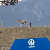 Review photo of Estes Park Campground at Mary's Lake by Chris H., September 23, 2020