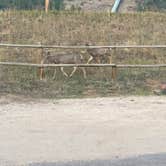 Review photo of Estes Park Campground at Mary's Lake by Chris H., September 23, 2020