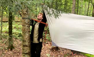 Tara S.'s photo at Gifford Woods State Park Campground in Vermont