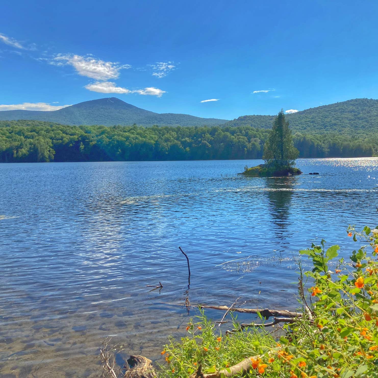 Albums 100+ Pictures gifford woods state park photos Sharp Albums 100+ Pictures gifford woods state park photos Sharp