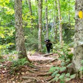 Review photo of Gifford Woods State Park Campground by Tara S., September 23, 2020