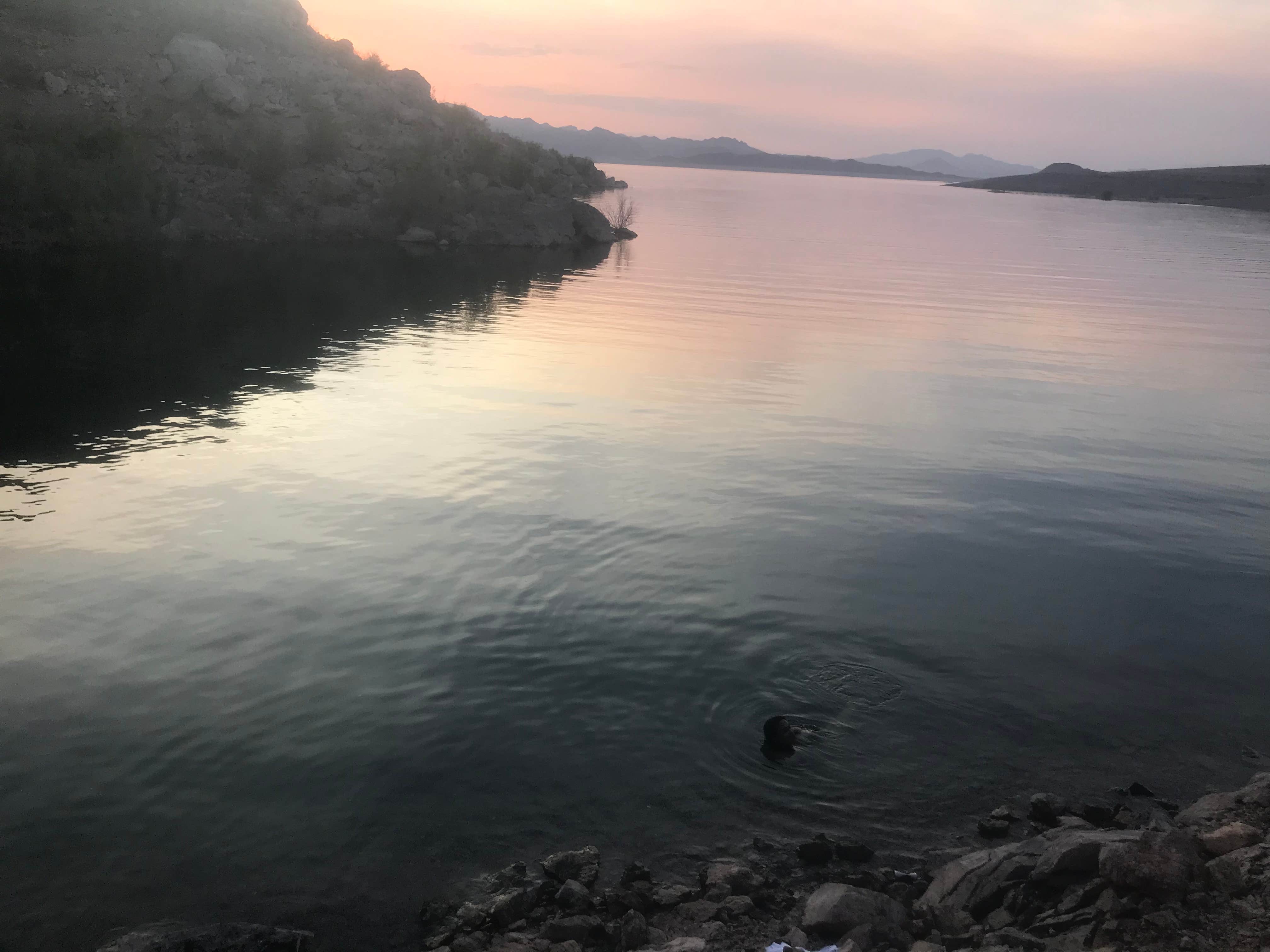 Camper-submitted photo at Kingman Wash — Lake Mead National Recreation Area near Las Vegas, NV