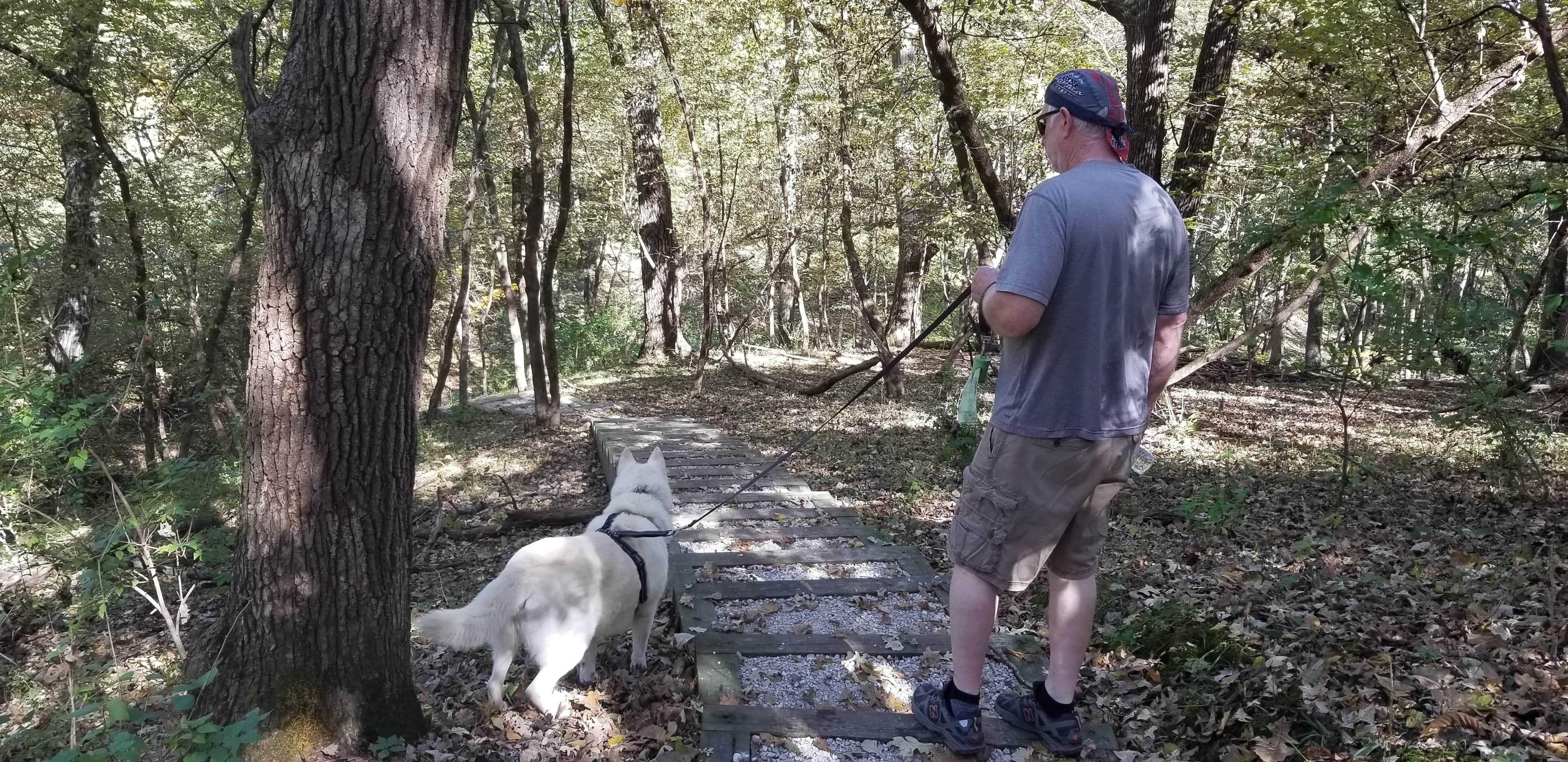 Camper-submitted photo at Hagge County Park near Lanesboro, IA
