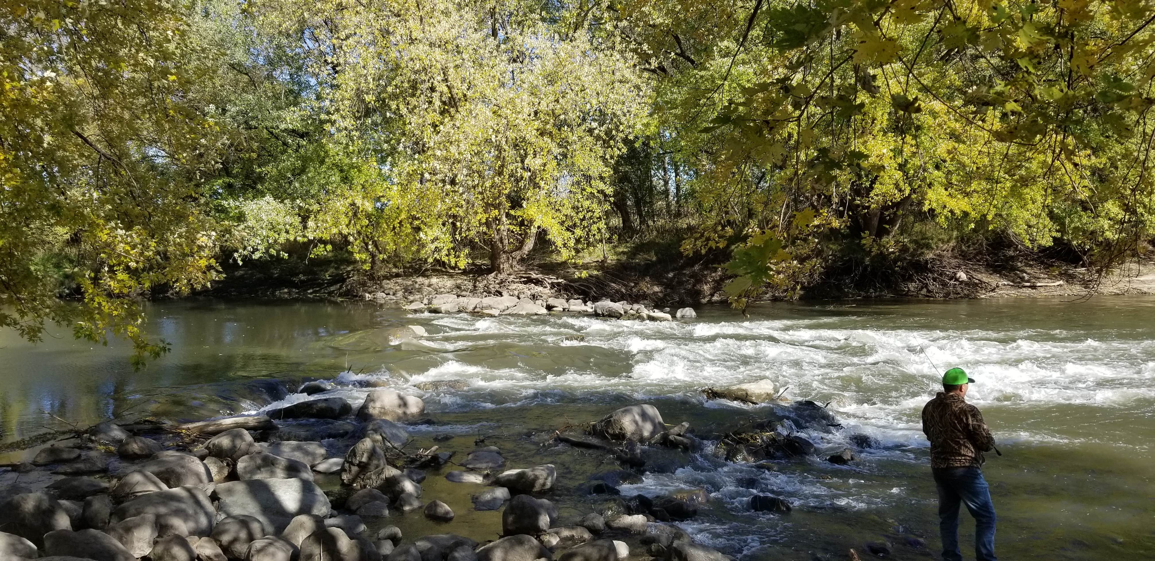 Camper submitted image from Hagge County Park - 1