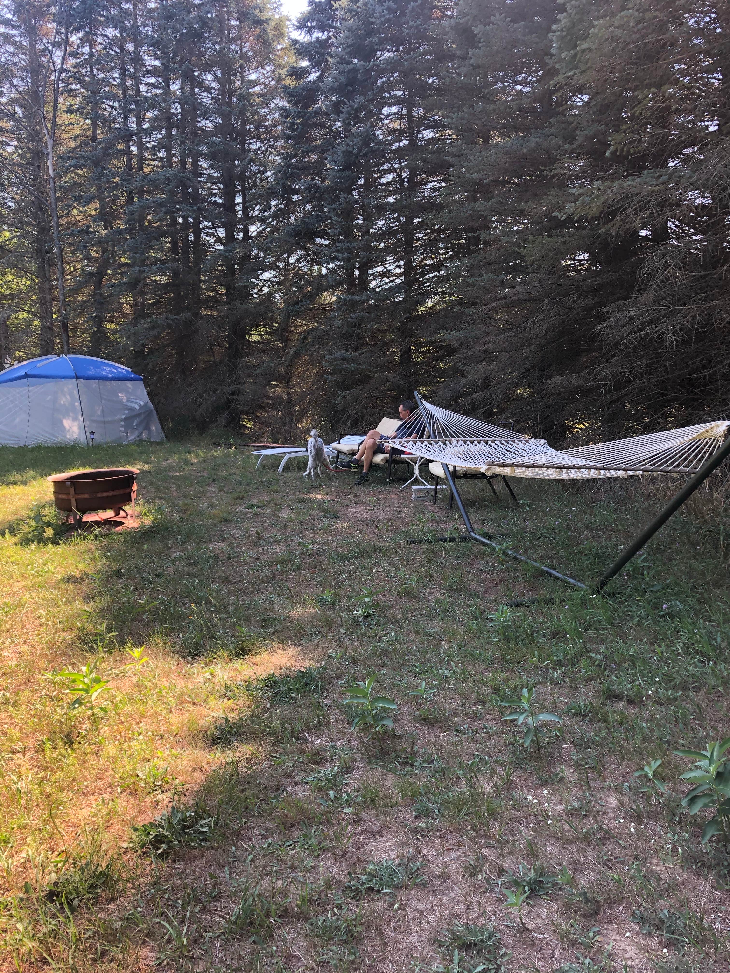 Camper-submitted photo at Pine Meadows near Evart, MI