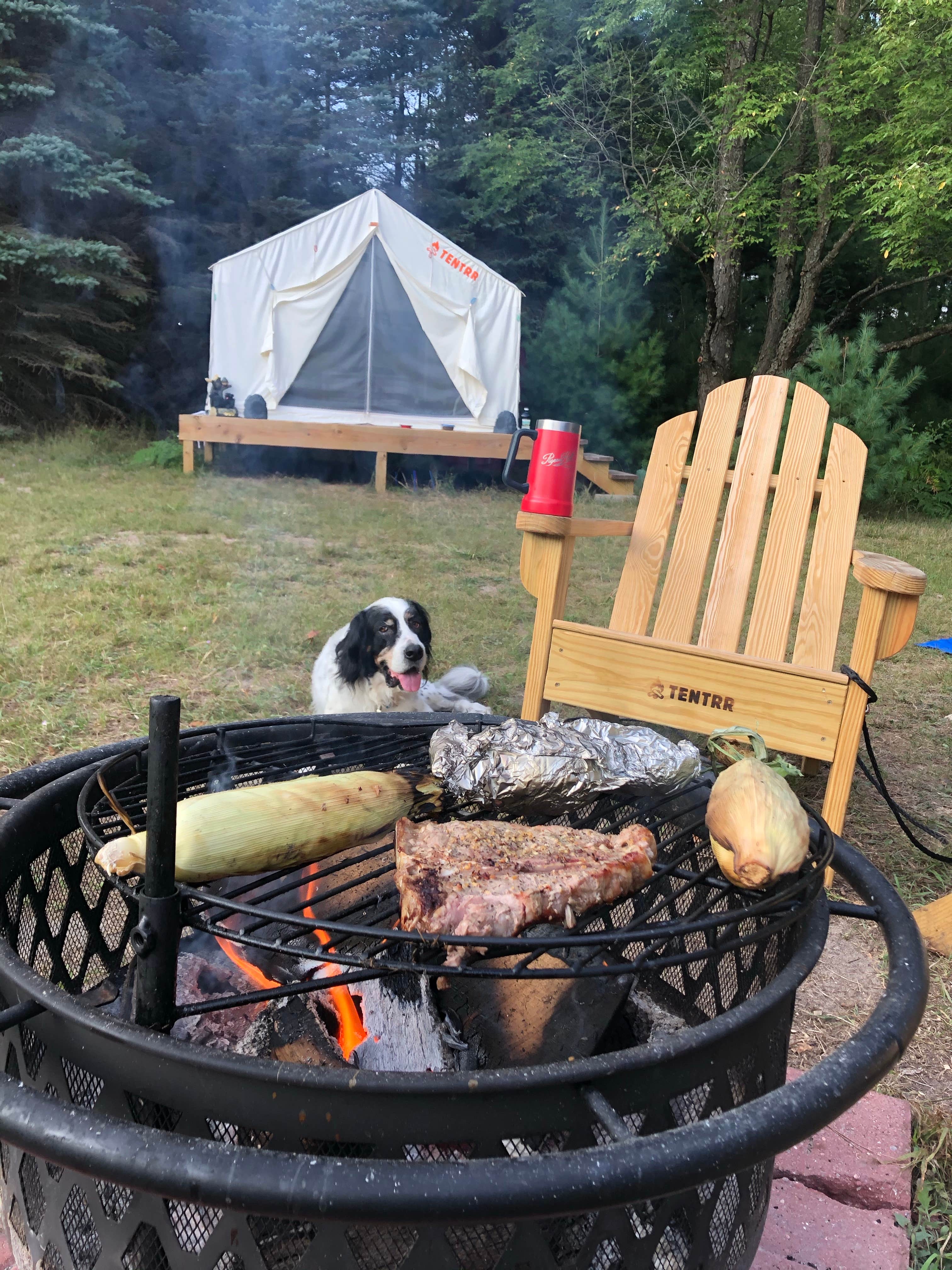 Shelly B.'s photo of tent camping at Pine Meadows near Remus, MI
