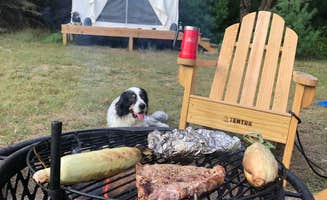 Shelly B.'s photo at Pine Meadows near Luther, MI