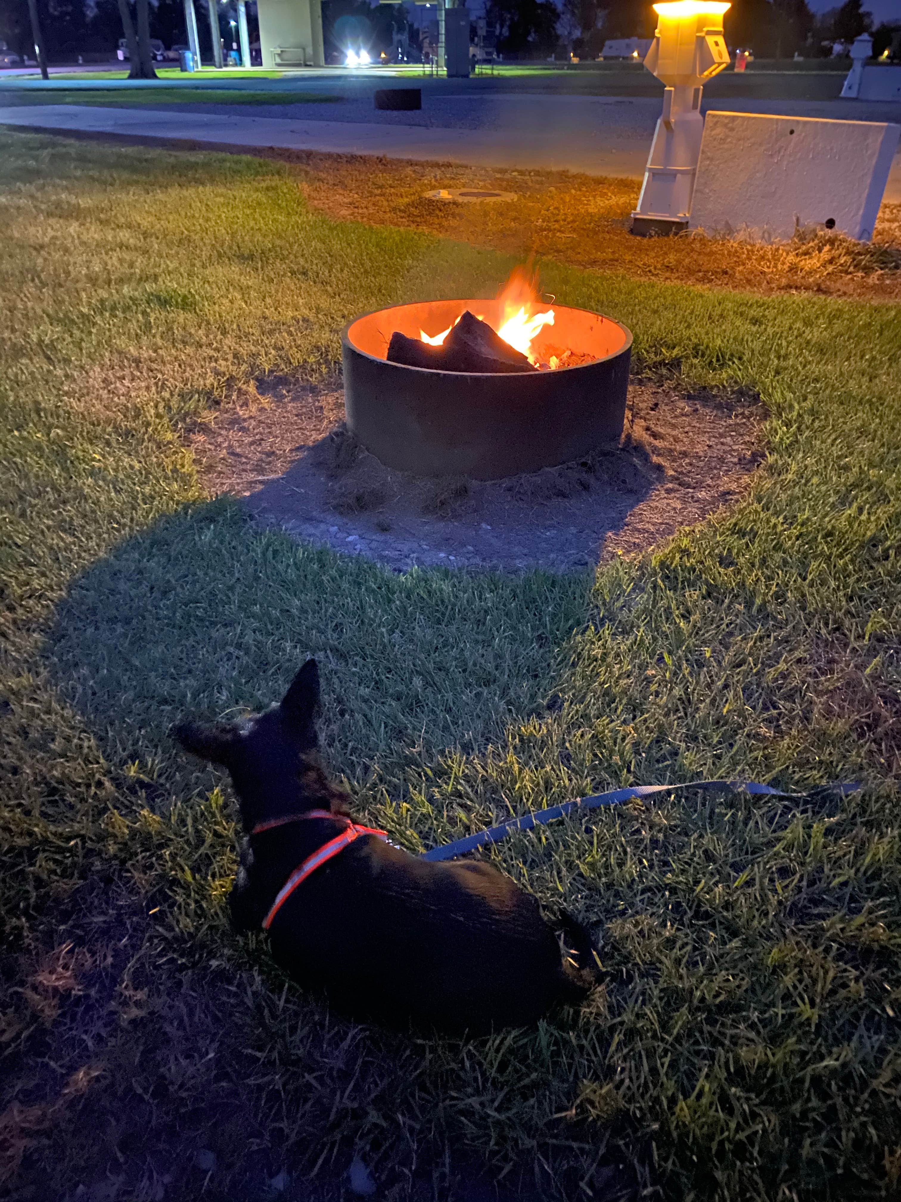 Jaimee D.'s photo at Isle of Iberia RV Resort near Abbeville, LA