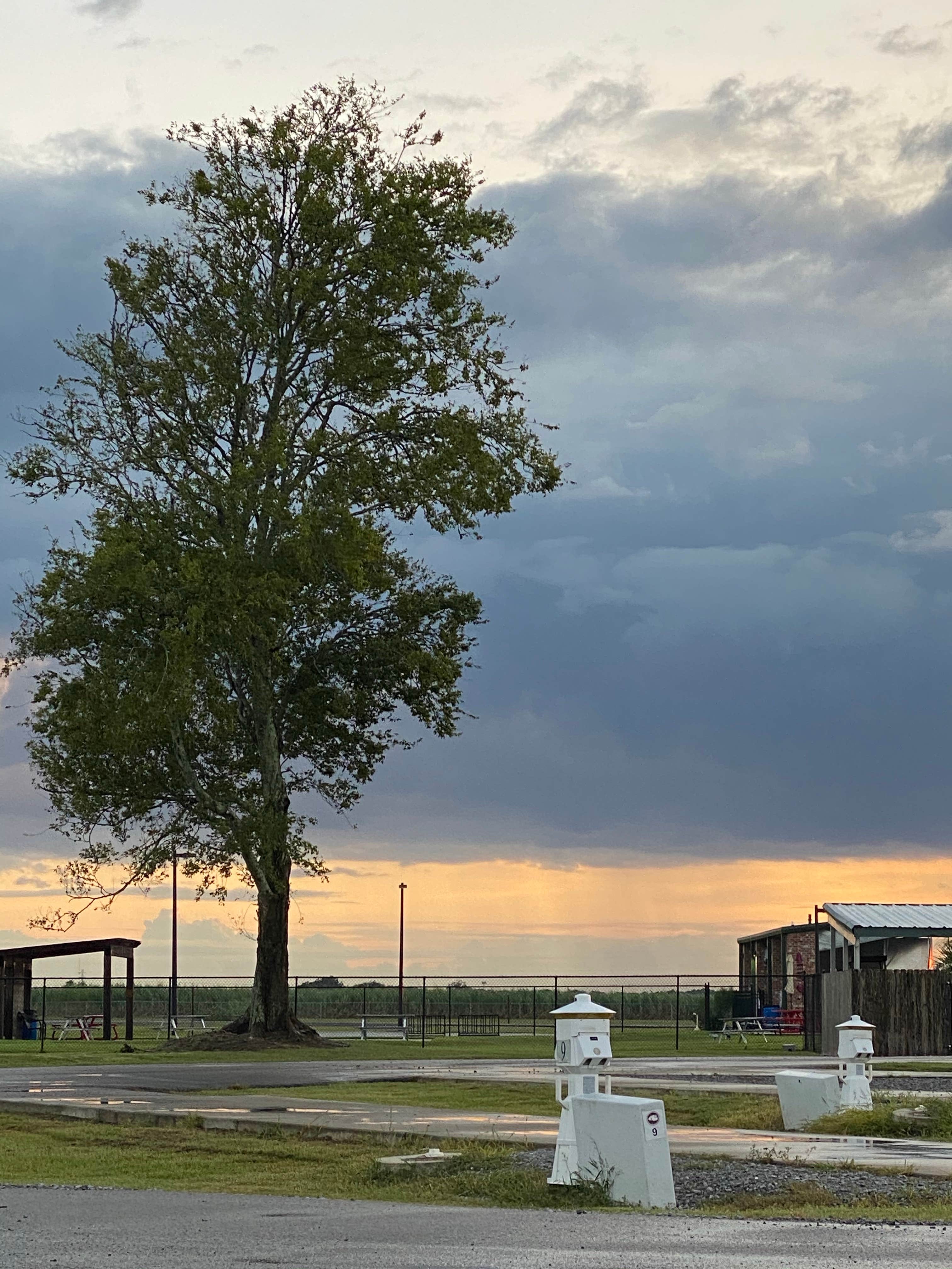 Camper-submitted photo at Isle of Iberia RV Resort near Abbeville, LA