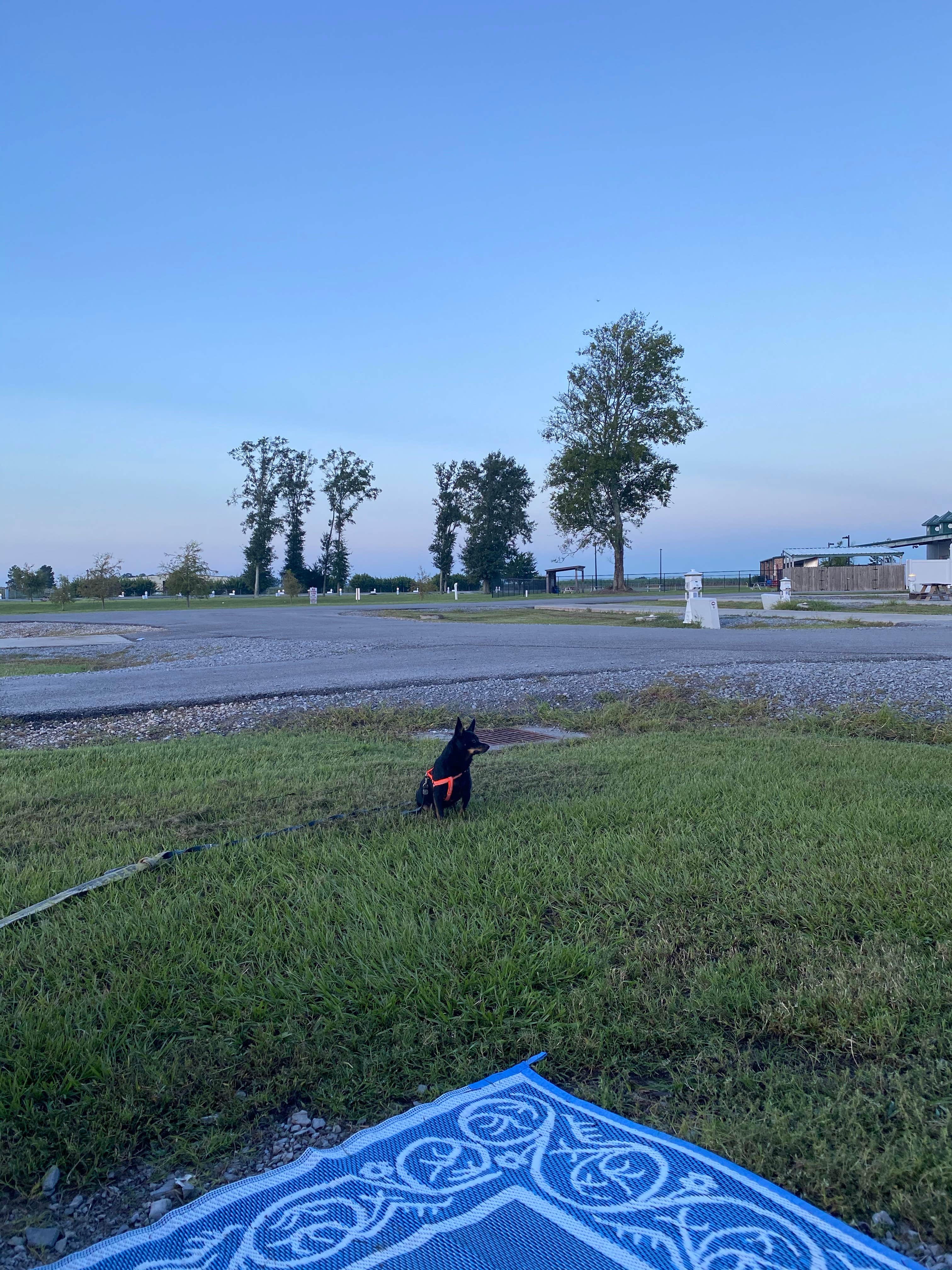 Camper-submitted photo at Isle of Iberia RV Resort near Abbeville, LA