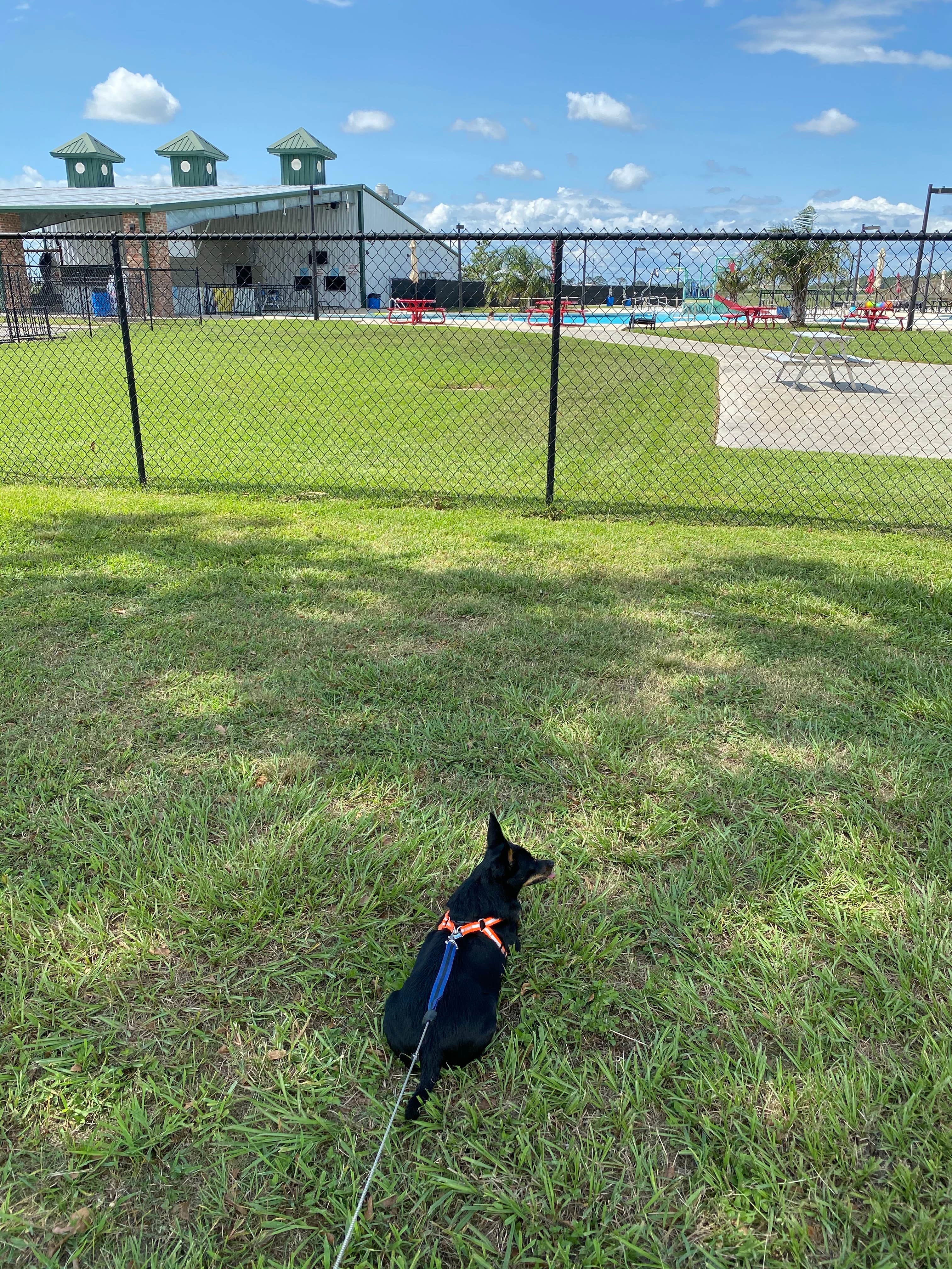 Camping near Betty's RV Park: Isle of Iberia RV Resort, New Iberia, Louisiana